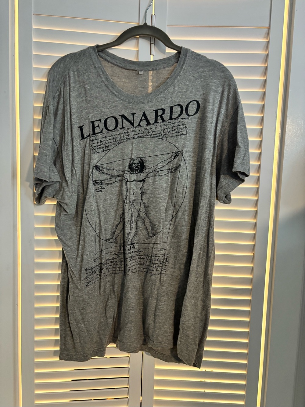 Leonardo da Vinci Vitruvian man Graphic Tee - Grey Men’s Shirt